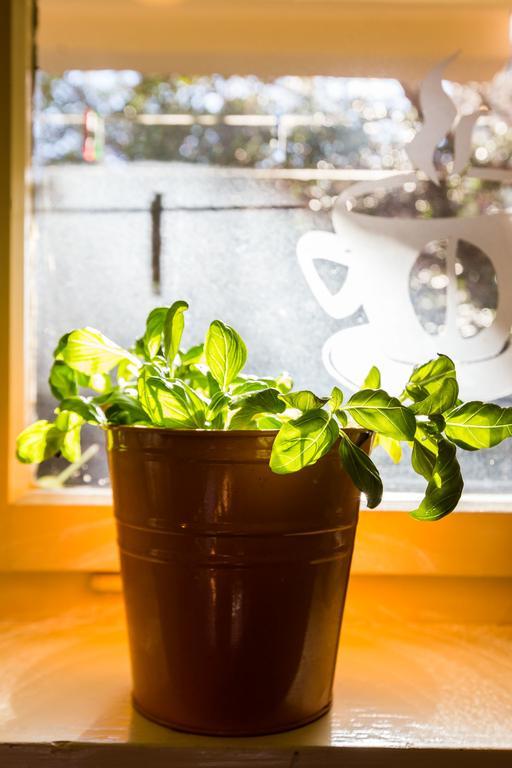 Lavender Apt. W. Balcony In Old Town ザダル 部屋 写真